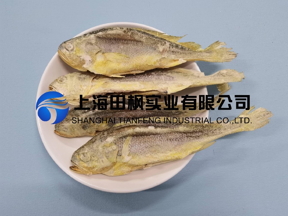 黃花魚 (2)(1).jpg